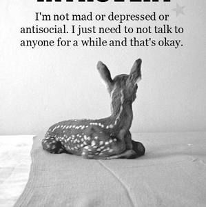 Meet your Posher, Marcia